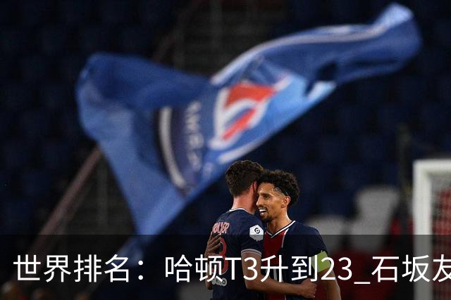 世界排名：哈顿T3升到23 石坂友宏日巡首胜412位